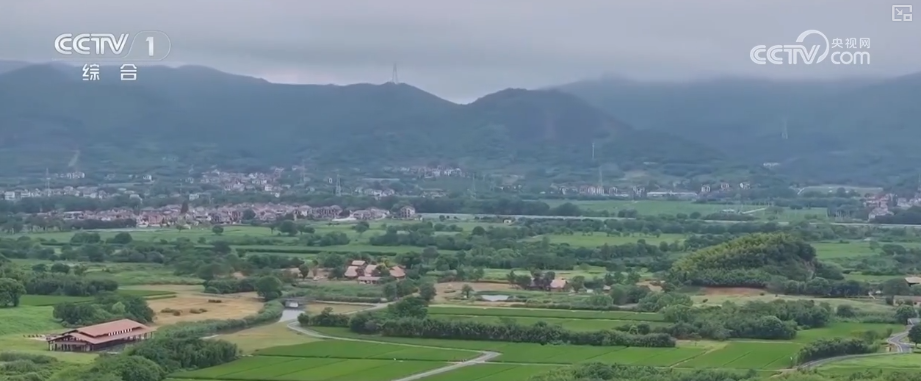 文化勃兴·文化遗产保护浓墨重彩 文化家底前所未有清晰 | 奋进“十四五”