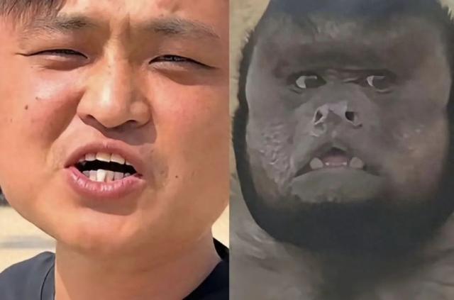男子撞脸网红丑猴 跨省现场“认亲”