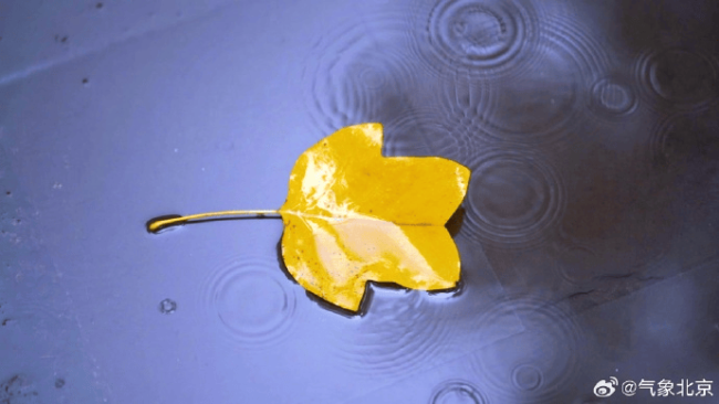 雨还没完，伞别急收！北京未来几天气温剧透