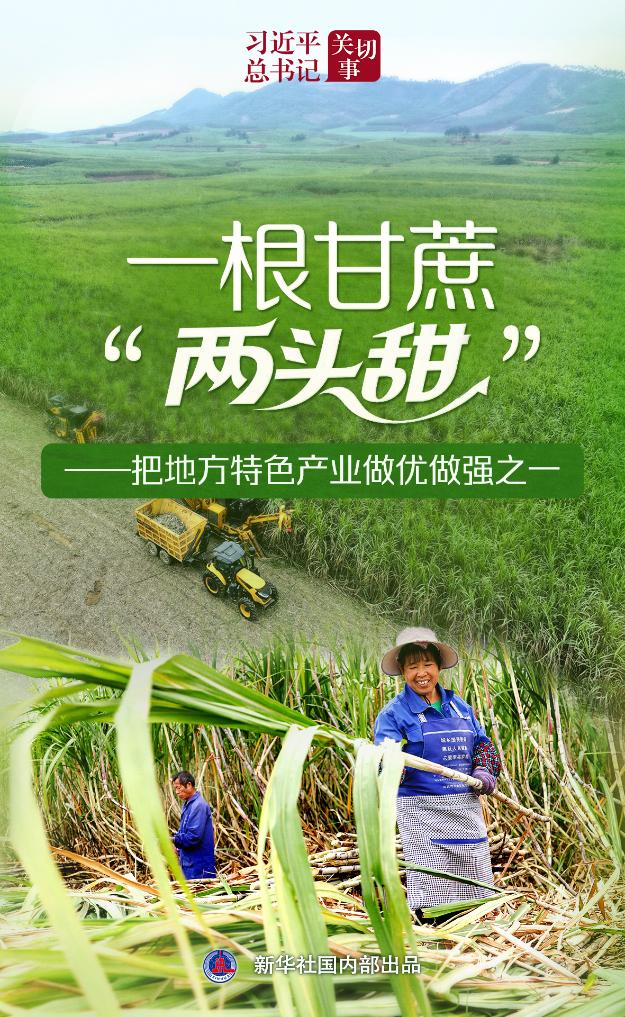 习近平总书记关切事|一根甘蔗“两头甜”——把地方特色产业做优做强之一