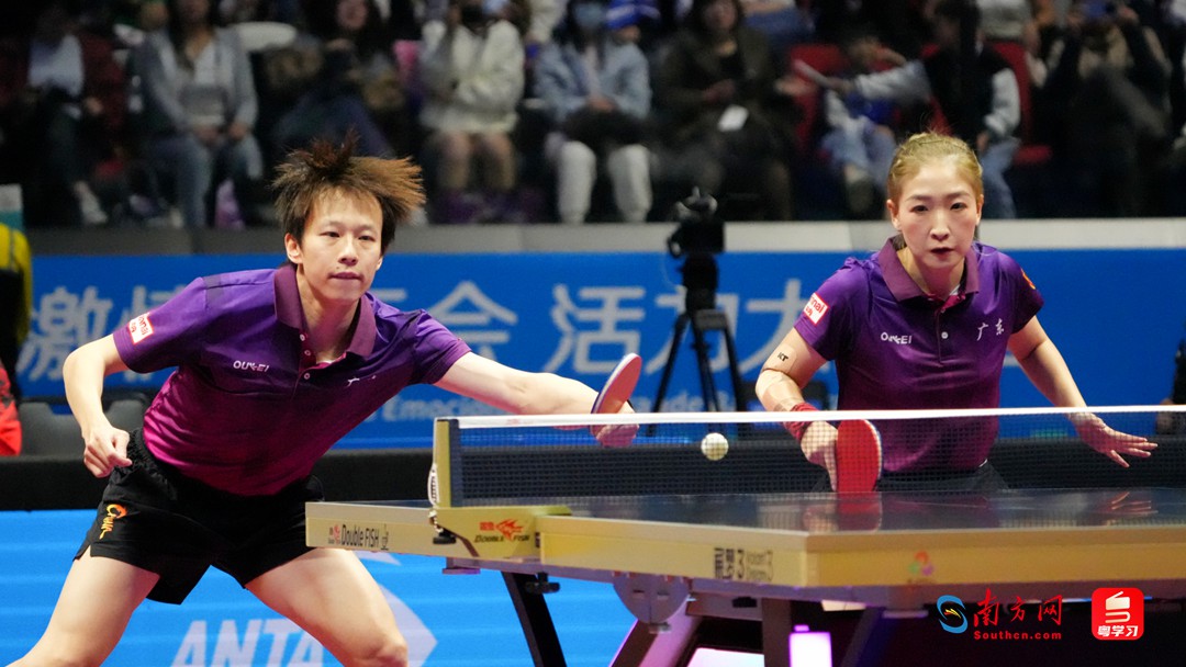 林高远/刘诗雯在比赛中回球。南方网记者 张瑞霖 摄