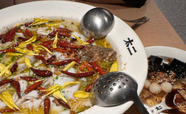 沈阳太二酸菜鱼被曝已全部闭店