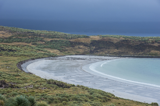 阿根廷强烈谴责英以企业拟在马岛开发油田