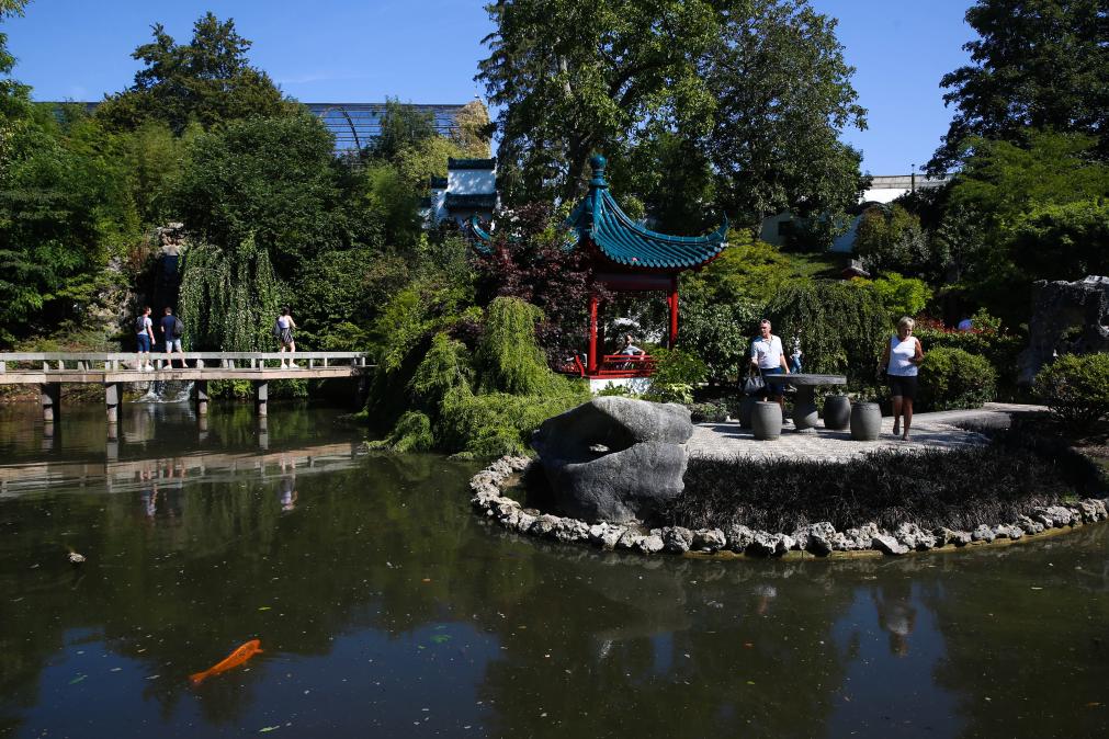 旅比大熊猫“守护者”埃里克·董博：打开感知中国之门