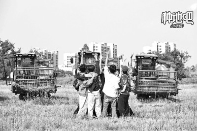 乡村综艺节目：拂去悬浮之尘 回归生活本真