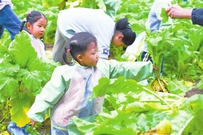 劳动促成长 劳动促成长