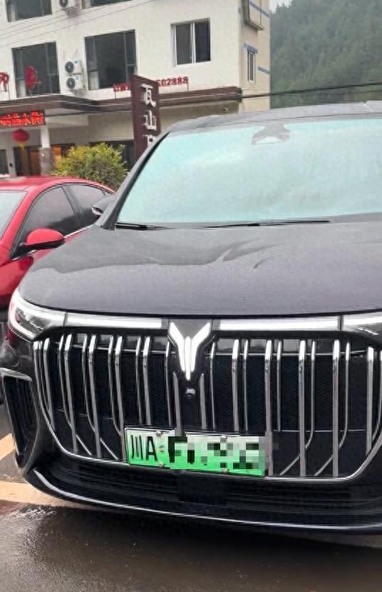 游客称在景区遭21474836元停车费