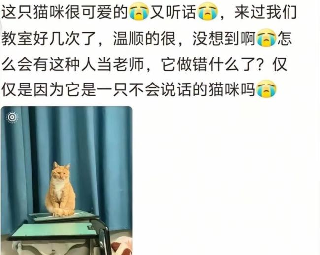 教体局调查中学老师当学生面杀猫 校方深感歉意将开设心理疏导课