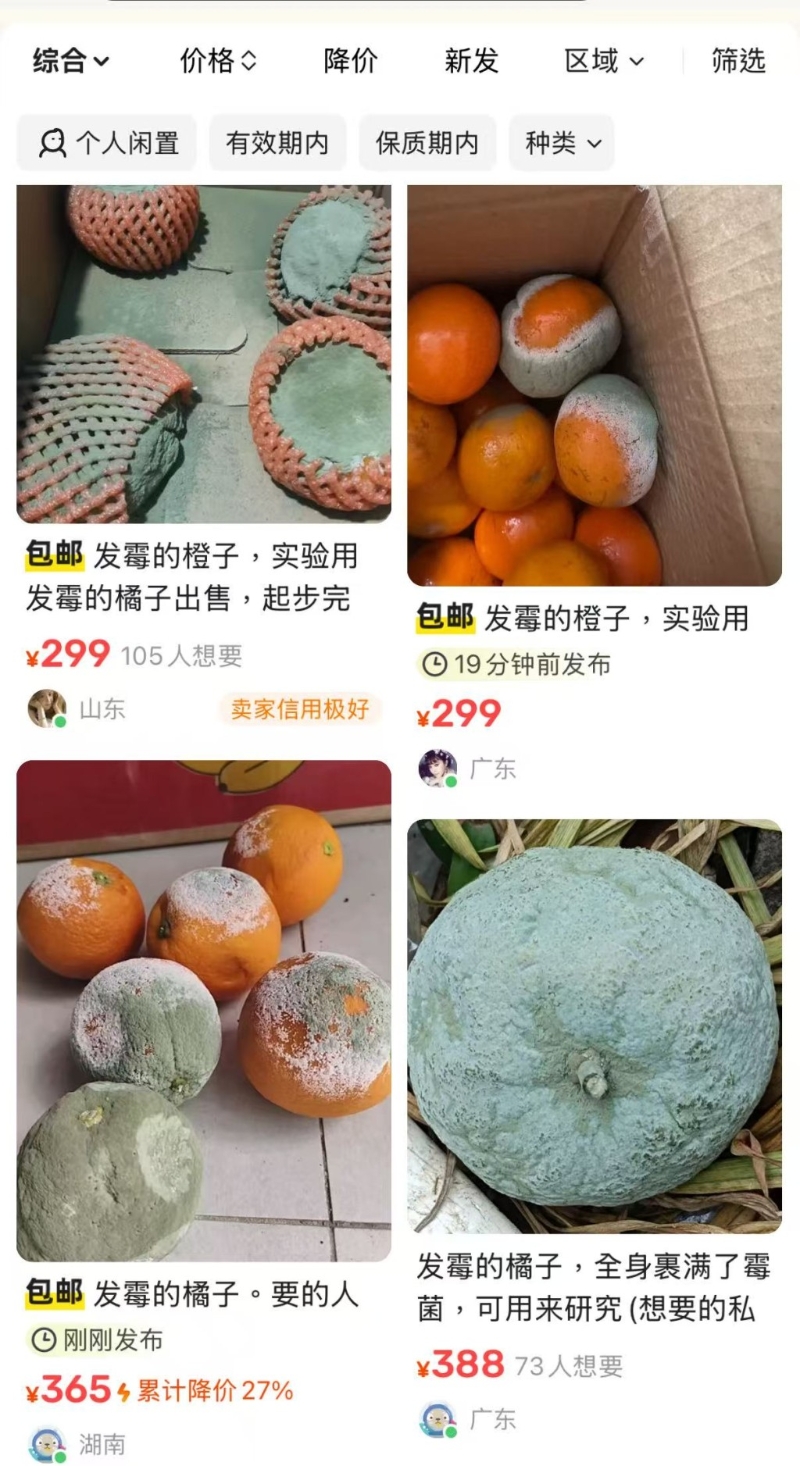 多个卖家挂出了发霉橘子的商品链接 多个卖家挂出了发霉橘子的商品链接