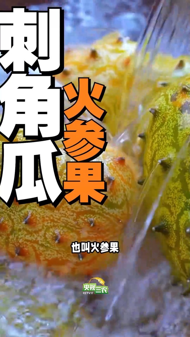 这几种“奇葩果” 买了就后悔!