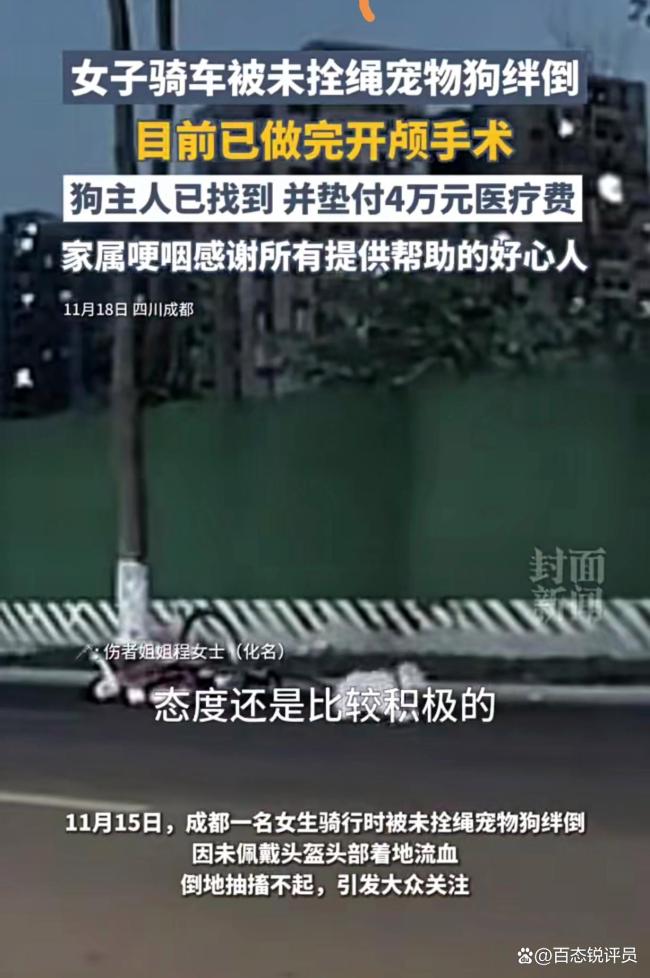 女子被未拴绳狗绊倒 做开颅手术