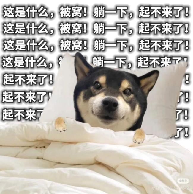 一入冬就起床困难