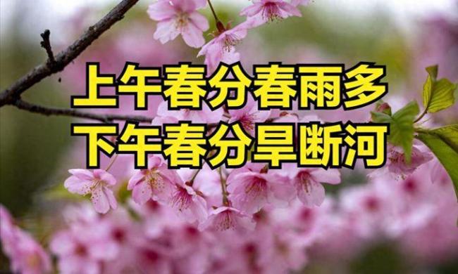 20年一遇春分撞上春社日 今春是旱是涝？