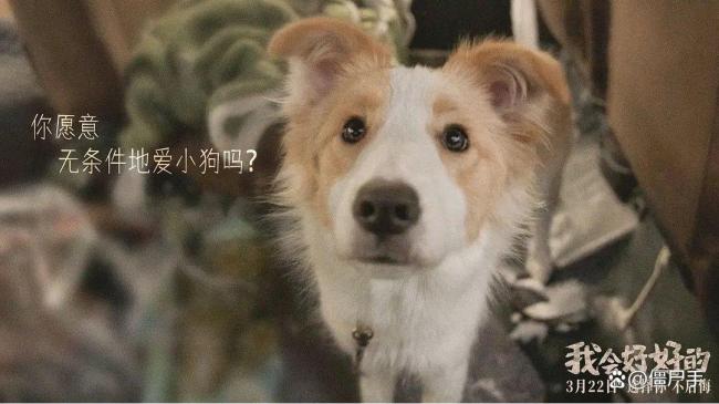 被称为“眼泪收割机”的《我会好好的》，让治愈系电影找到了新市场 年度最破防的治愈炸弹