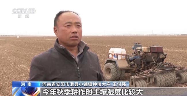 我国粮食主产区秋冬种基本结束 田管有序展开