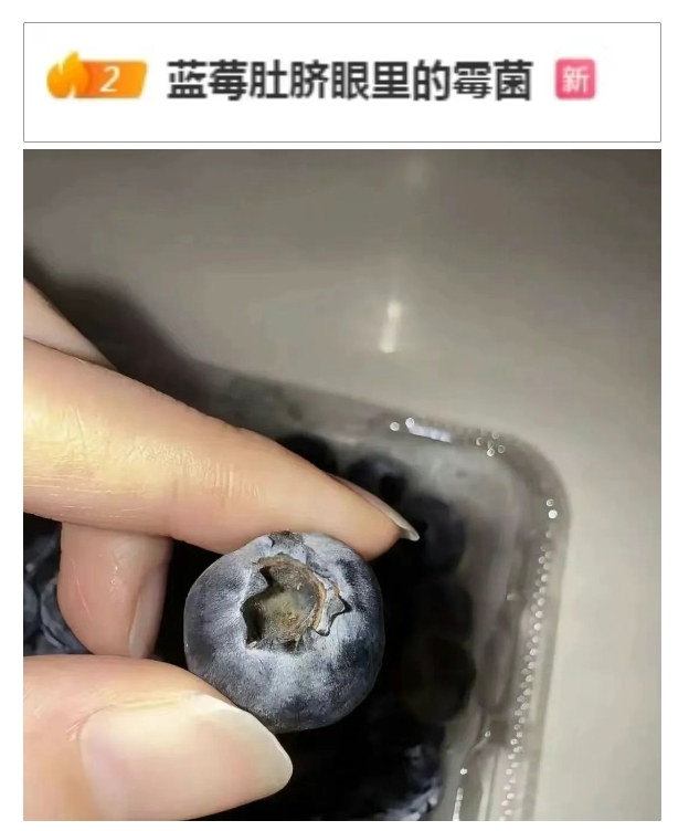 “浆果之王”有霉菌?吃前记得给它掏“耳朵”