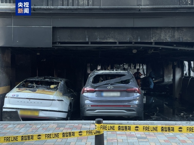 韩国首尔一公寓楼起火 50人因吸入浓烟送医