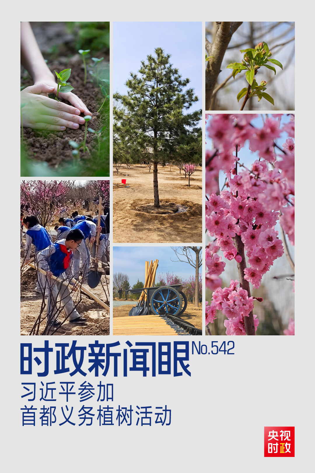 参加首都义务植树活动,习近平为何强调这三个关键词?