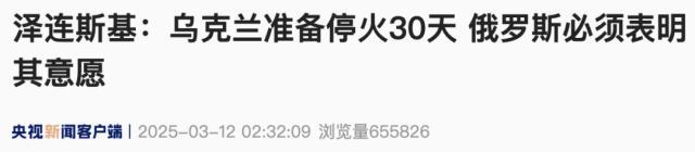 乌方接受30天临时停火 推进和平进程