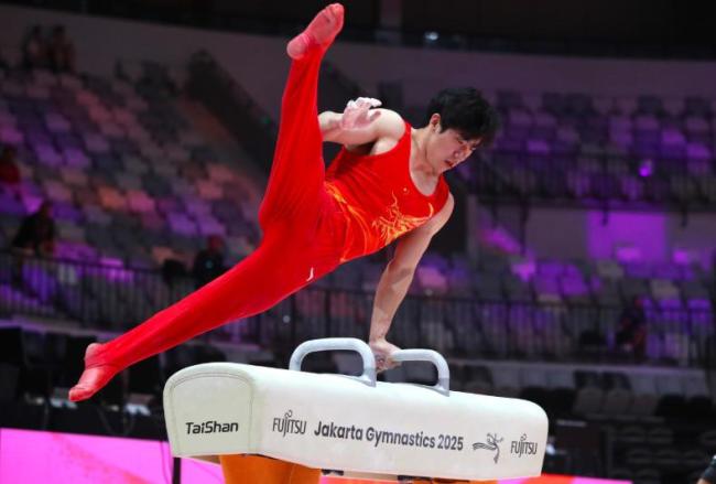 张博恒男子个人全能摘银