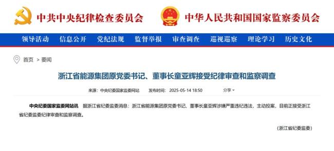 童亚辉主动投案