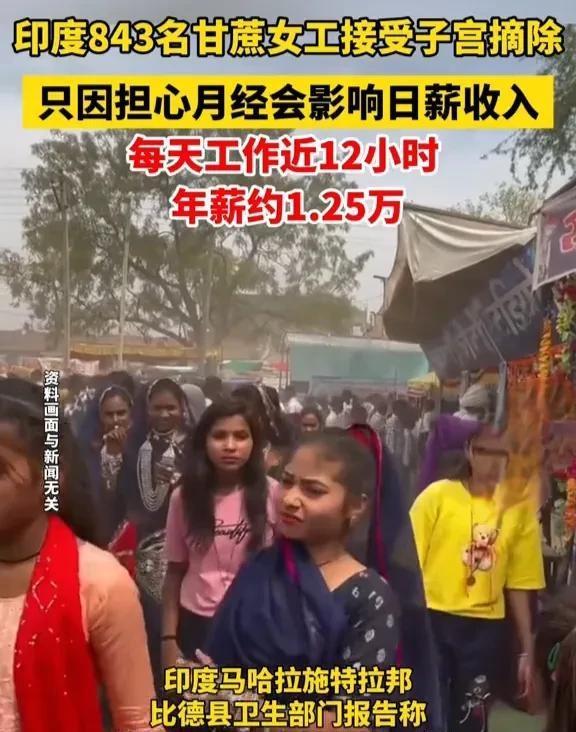 印度843名甘蔗女工摘除子宫 生存与剥削的残酷交易
