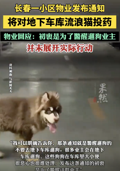 物业以投毒流浪猫为名制止地库遛狗