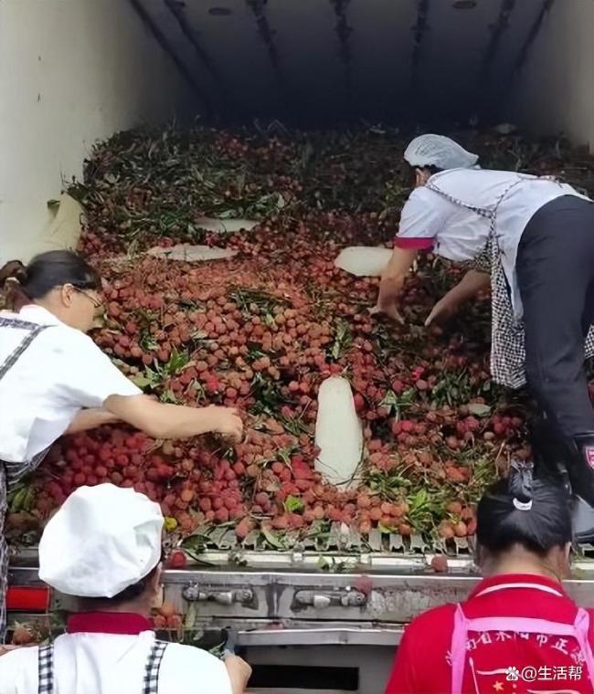 8岁男孩花1万多网购26箱荔枝