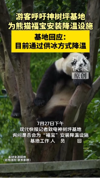 游客呼吁为福宝安装降温设施