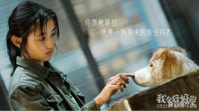 被称为“眼泪收割机”的《我会好好的》，让治愈系电影找到了新市场