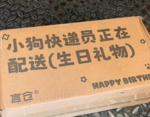 媒体评“小狗快递员正在配送” ，商家玩梗需有度
