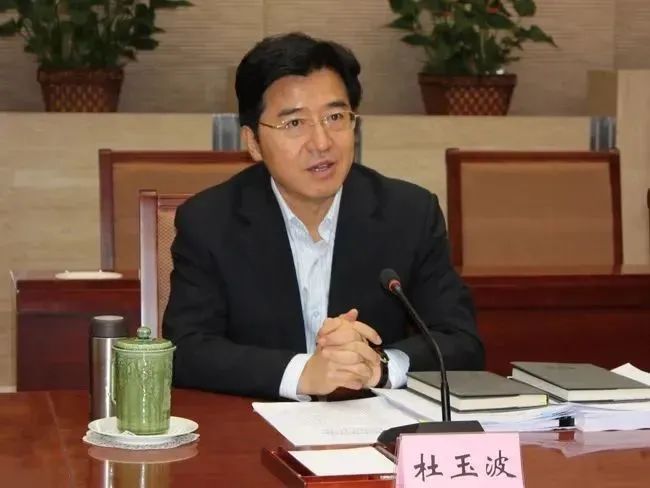 杜玉波 杜玉波