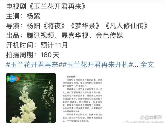 杨紫玉兰花开君再来将官宣