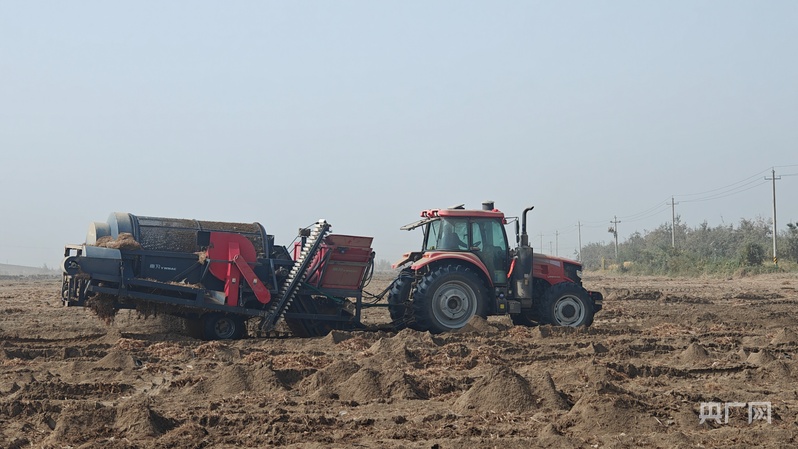 新质新造·兵团丨沙漠荒滩长出“金豆子” 绿色循环“链”动产业新图景