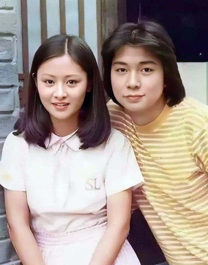 蔡枫华 蔡枫华