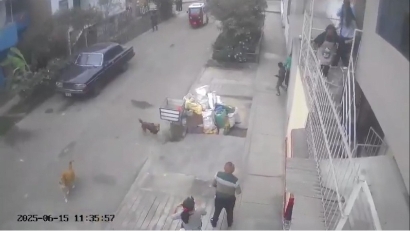 地震发生时民众立即冲到室外逃生。