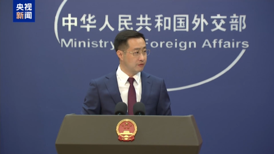 一名日企员工因间谍罪被判刑 外交部：依法办案