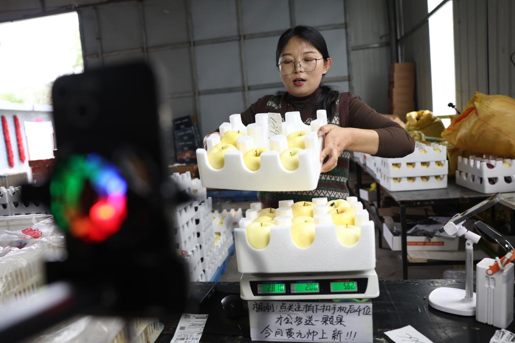 “十四五”身边事｜农村电商，物流“链”动致富路