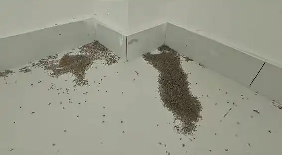 蚊子被热死