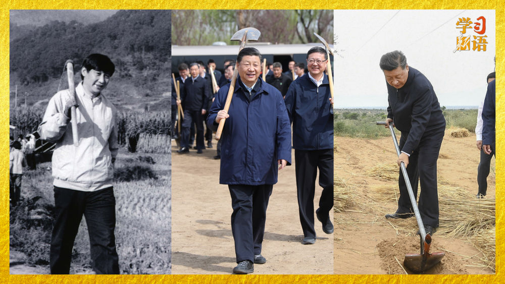 学习新语|劳动是一切幸福的源泉 学习新语|劳动是一切幸福的源泉