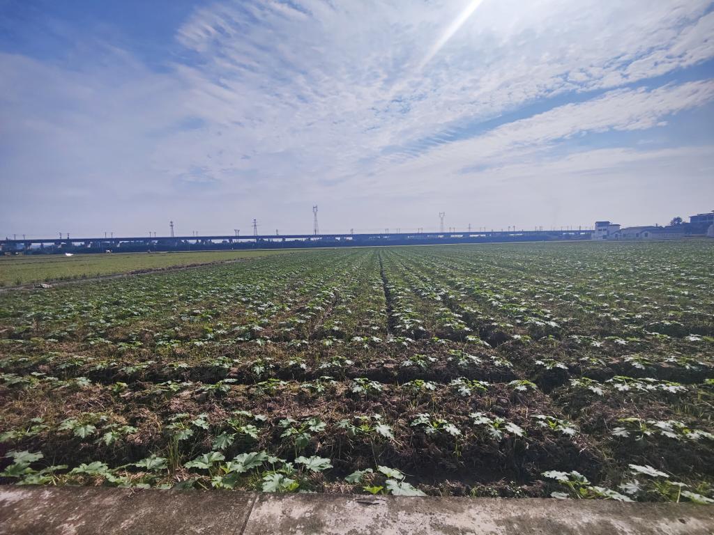 科技赋能,解锁新时代大国粮仓的“智慧密码”