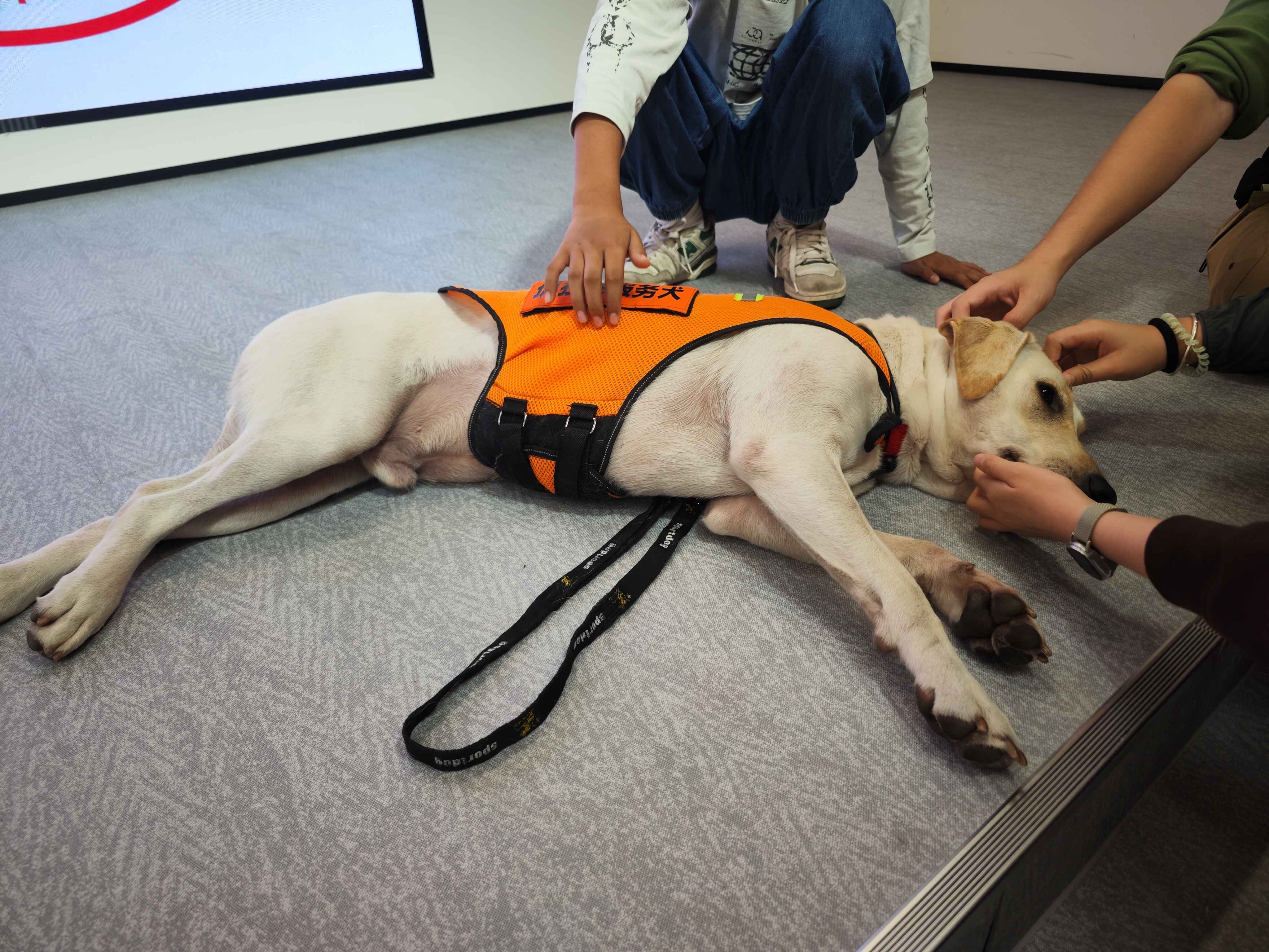 孩子们与“圆圆”互动