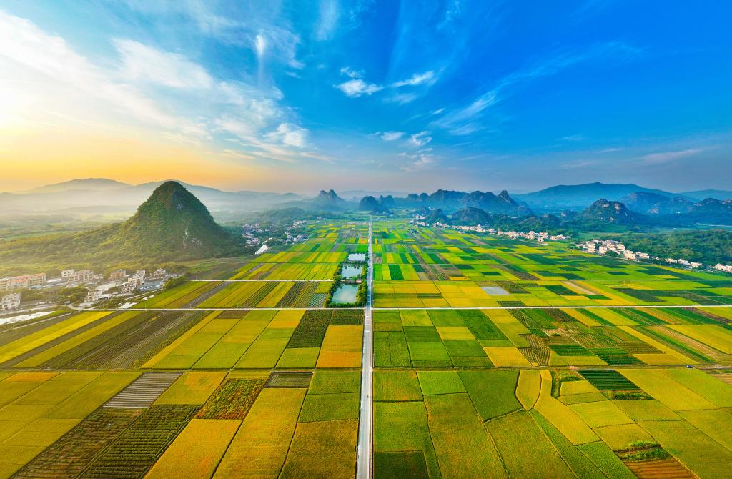 图为广东阳江阳春市马水镇马兰村的“马兰秋色”。(受访者供图)