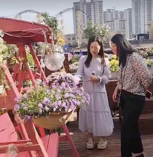 河南一市民三年打造空中花园