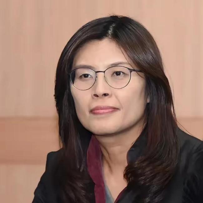 郑丽文直言“蓝白合”很重要