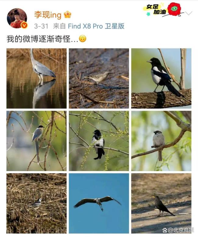 李现打鸟同款租1天500元