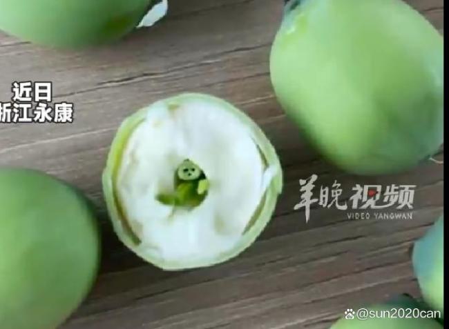 女子切开莲子发现里面真的有哪吒