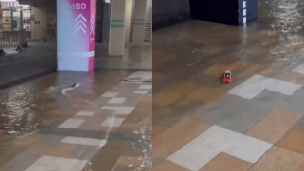 居民雨中作乐放遥控船