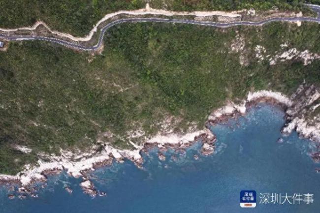 游客剪开铁丝闯入深圳牛奶排！夺命网红点