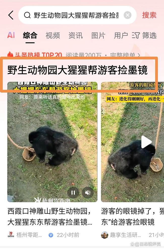 动物园大猩猩帮游客捡墨镜